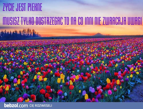 Życie jest piękne! 