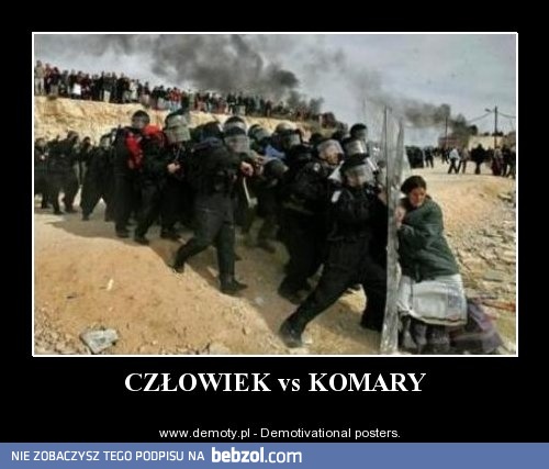 Człowiek 0 : komary 500.000