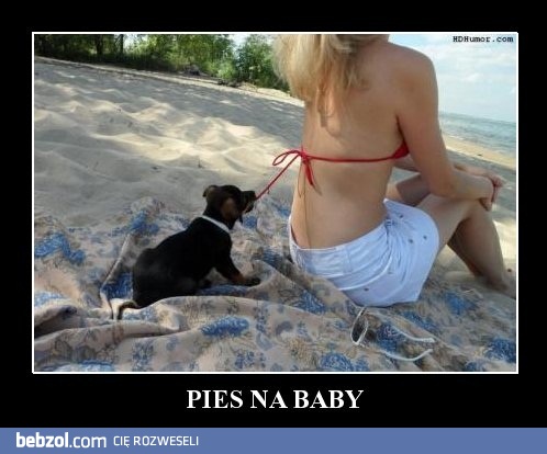 A to pies na baby!