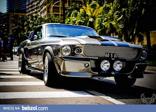 Eleanor Mustang <3 