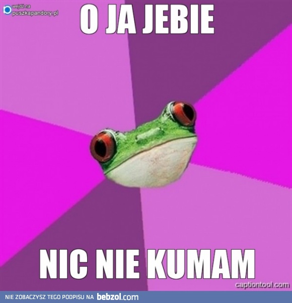 nic nie kumam