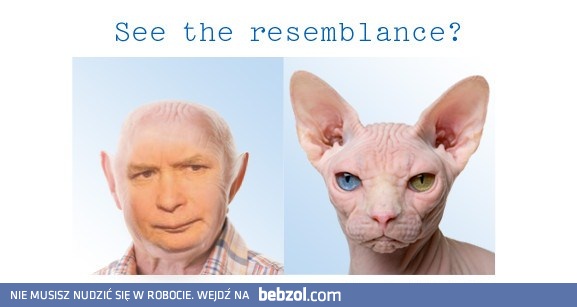 Widzisz podobieństwo..?