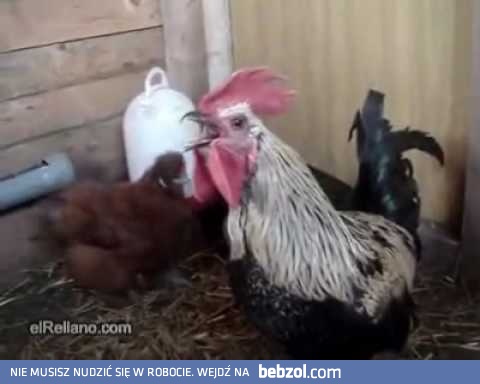 Taki, to przerwie sen w KAŻDEJ... fazie!