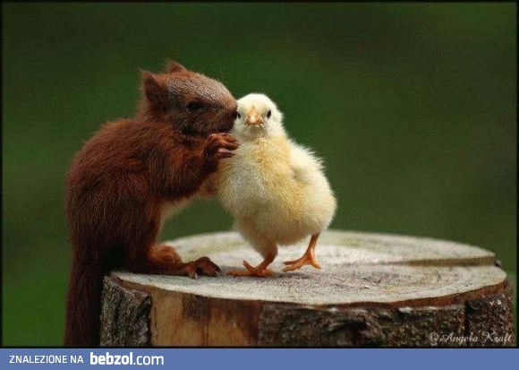 Coś  Ci powiem na uszko...