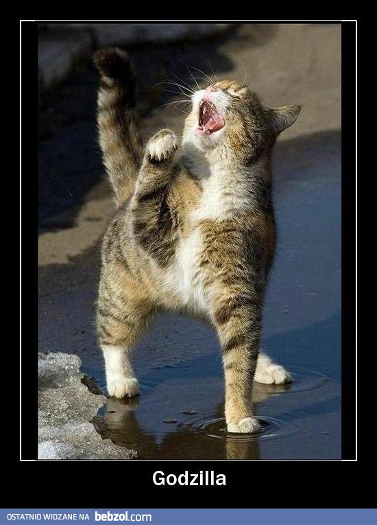 Godzilla