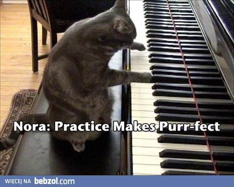 NORA - Genialna kotka grająca na pianinie!!!