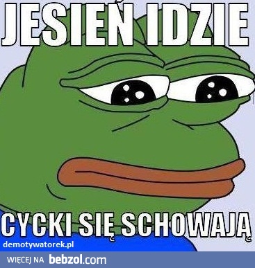 Cycki się schowały