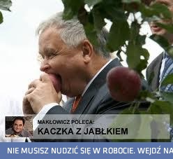 Kaczka z jabłkiem