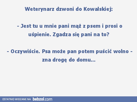 Czy pani się zgzdza..?