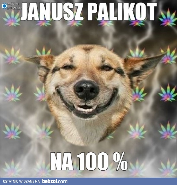 JP na 100 % ;) 