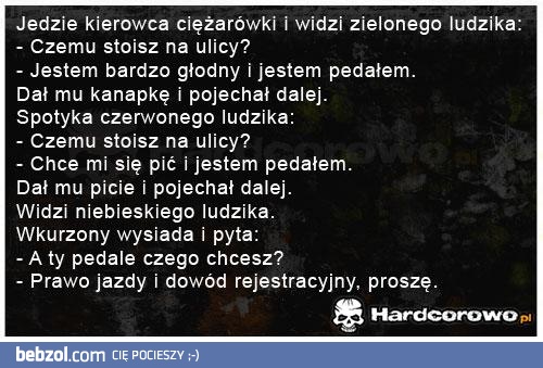 Ludziki