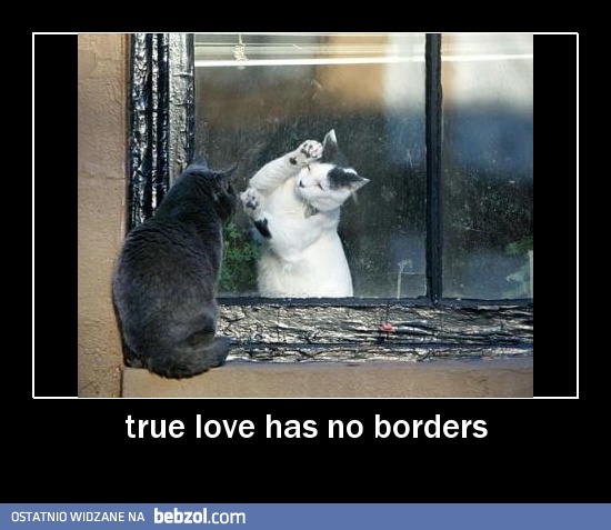 Prawdziwa miłość nie zna granic