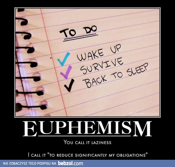 Ty to nazwiesz lenistwem - ja zredukowaniem znaczenia moich obowiązków