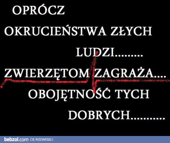 Okrucieństwo i obojętność