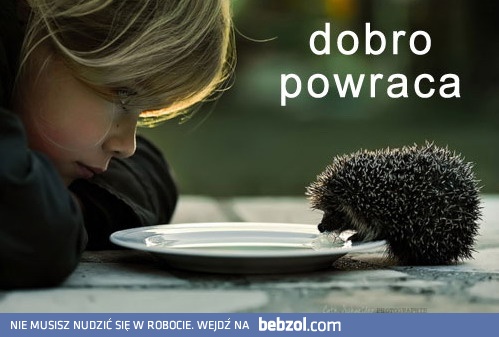 Dobro powraca