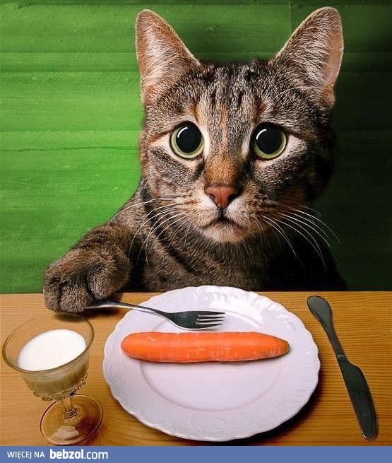 Nie lubię marchewki...