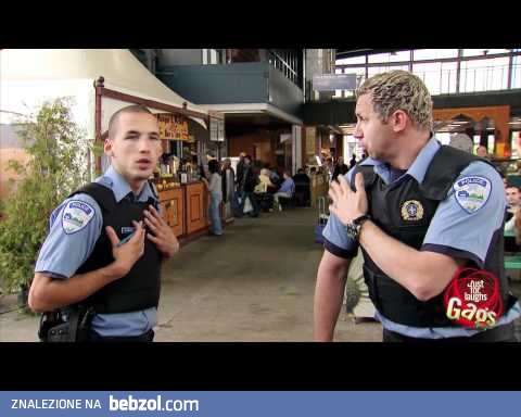 Wzruszająca wrażliwość policjantów gejów...