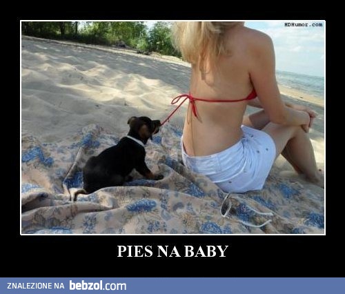 Pies na baby