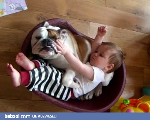 Dwaj serdeczni przyjaciele