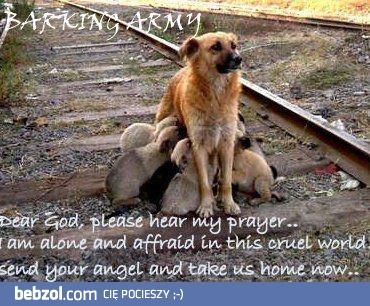 Czy ta modlitwa zostanie wysłuchana?