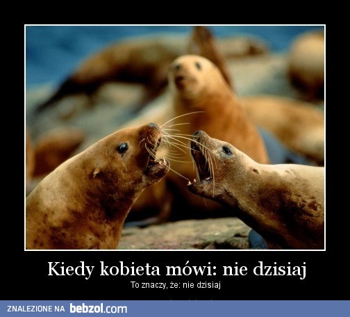 Kiedy kobieta mówi nie...