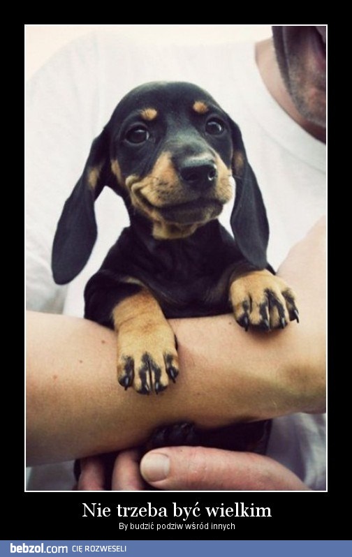 Nie trzeba być wielkim aby...
