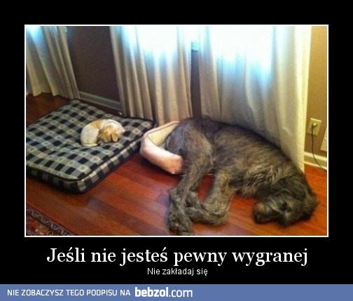 Nie zakładaj się...