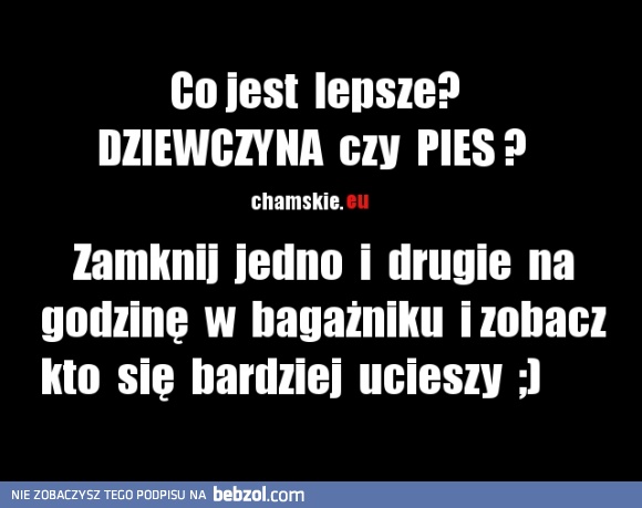 Dziewczyna  czy  pies  ?