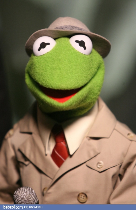 Kermit-Reporter.