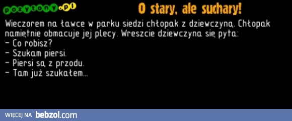 Poszukiwacz