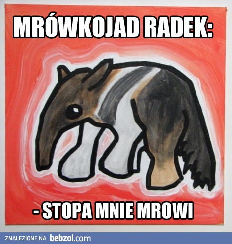 Mrówkojad Radek