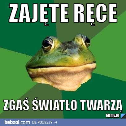 żaba radzi jak zawsze dobrze