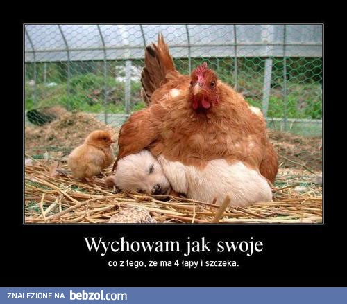 Wychowam jak swoje