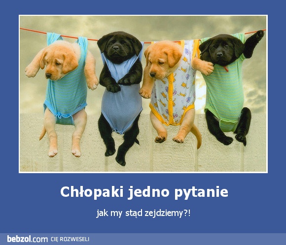 Chłopaki jedno pytanie