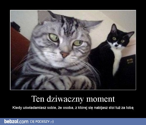 Ten dziwaczny moment