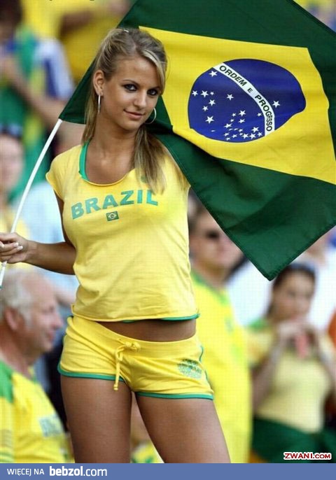  lov brazil