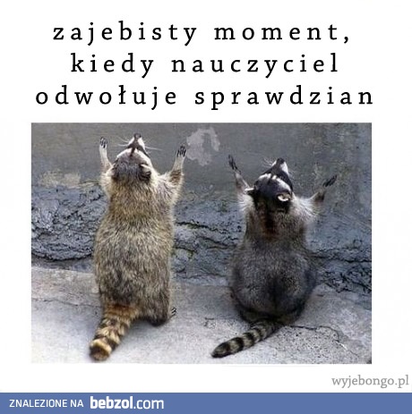 zajebisty moment, kiedy nauczyciel odwoła sprawdzian