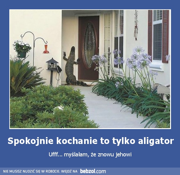 Spokojnie kochanie to tylko aligator