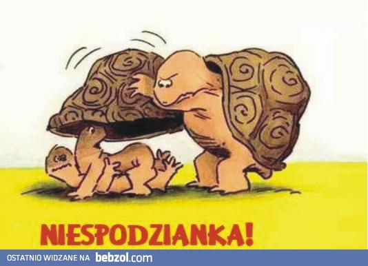 NIESPODZIANKA