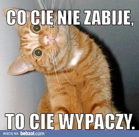 Co cię nie zabije....