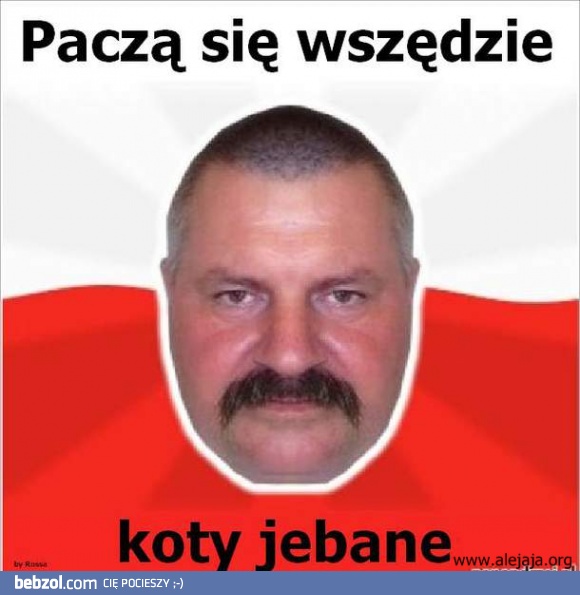 Je*ane koty