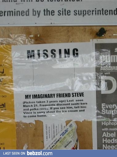 Steve is MISSING!