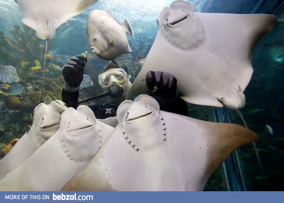 Smile For The Camera!