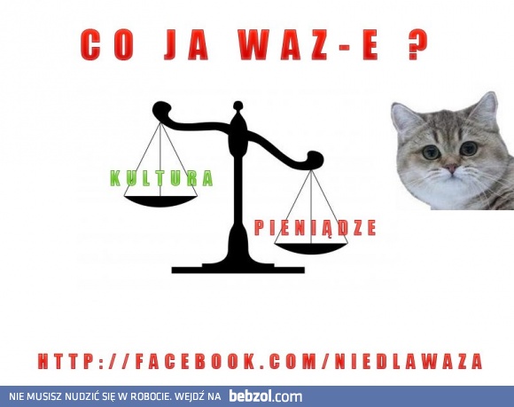 CO JA WAZE