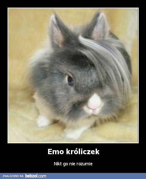 Emo króliczek