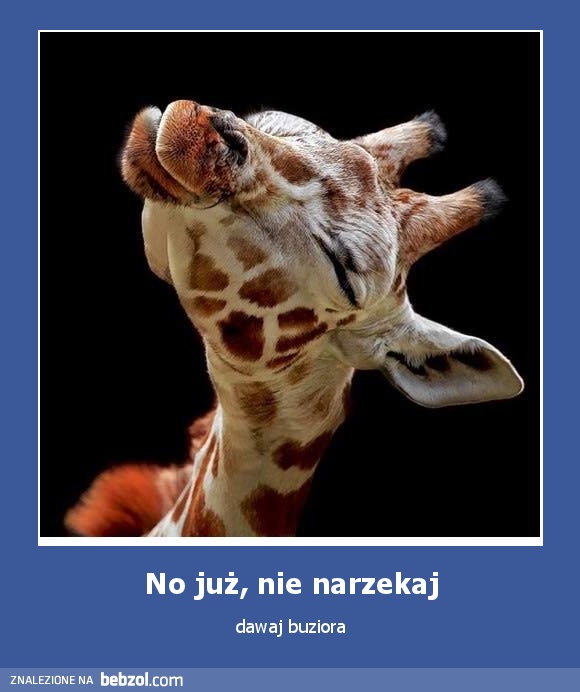 No już, nie narzekaj