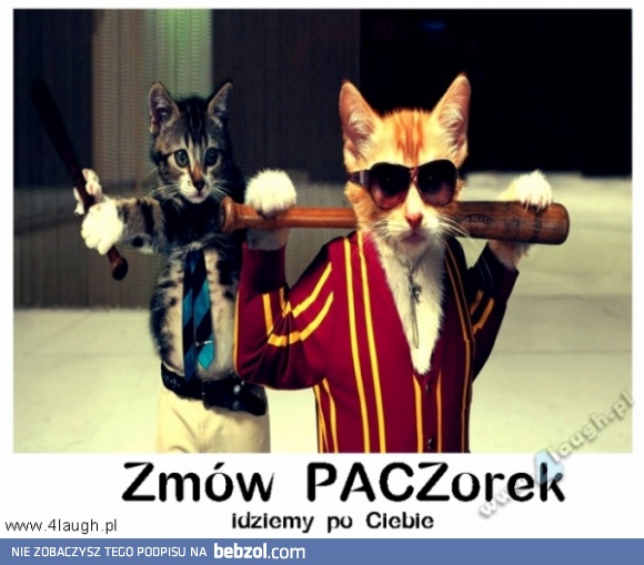 PACZorek