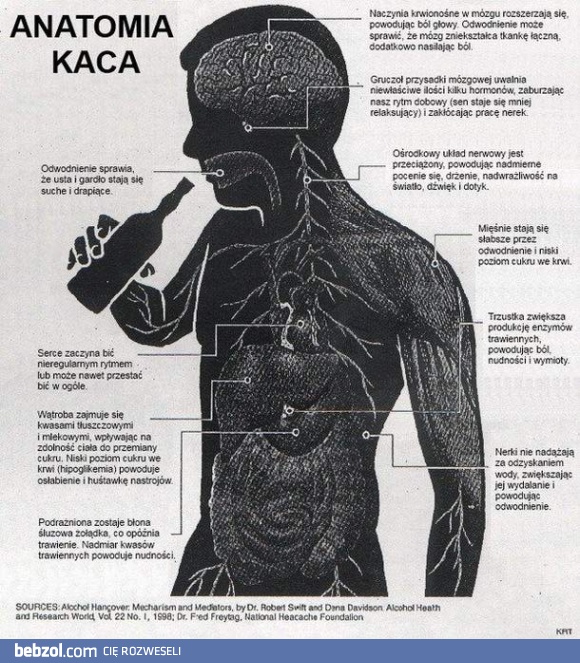 Skąd się bierze kac