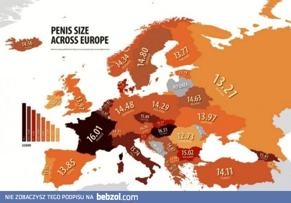 Długość penisów w Europie