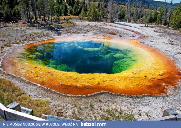 Gdzieś w Yellowstone